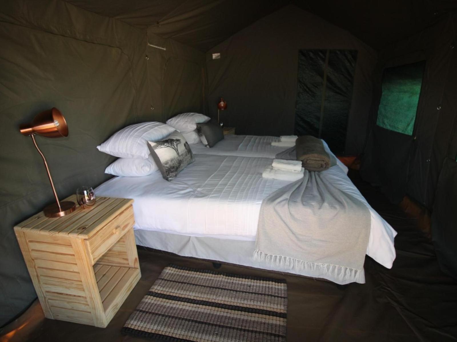 Brandberg White Lady Lodge Uis Экстерьер фото
