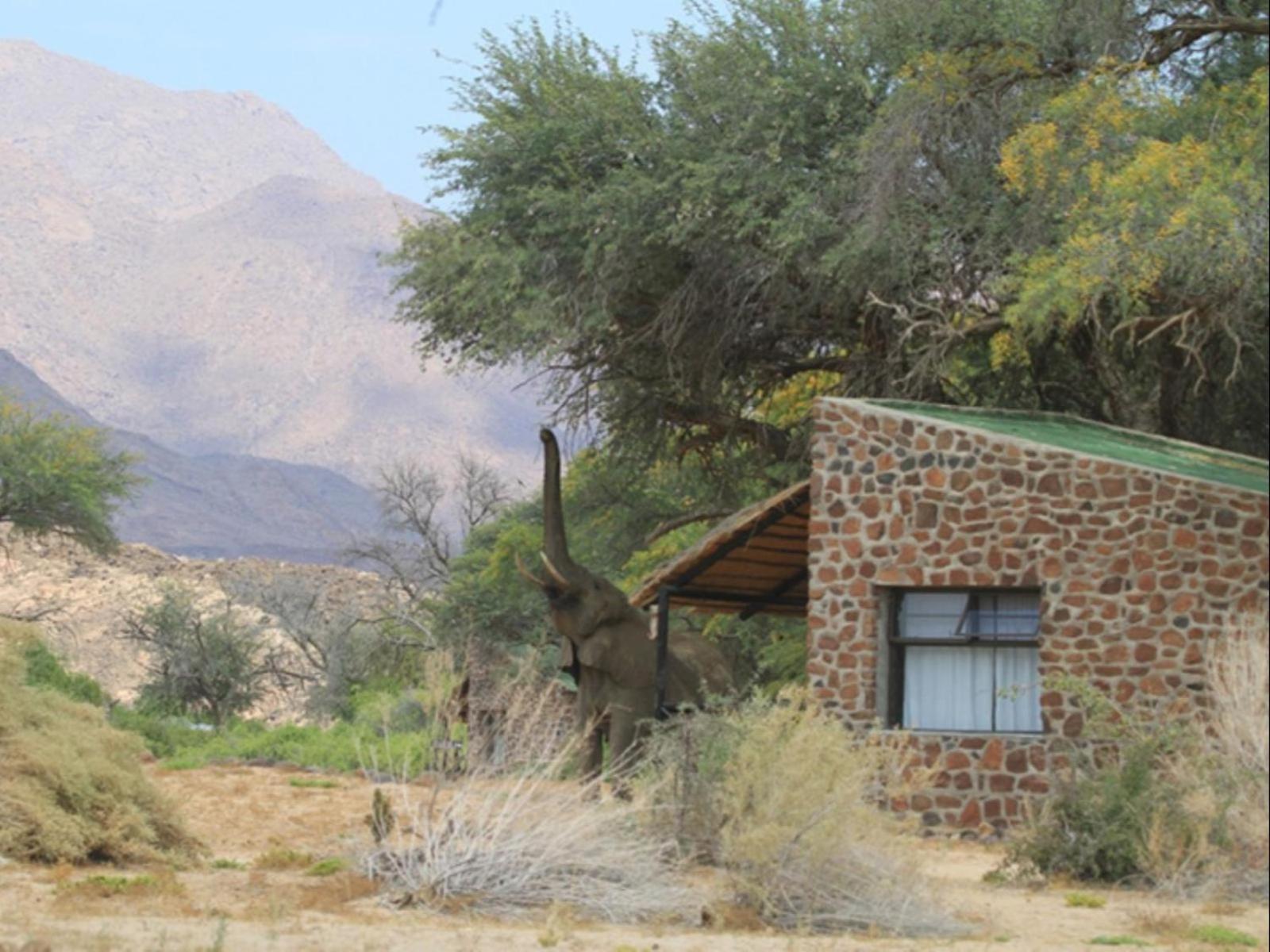 Brandberg White Lady Lodge Uis Экстерьер фото