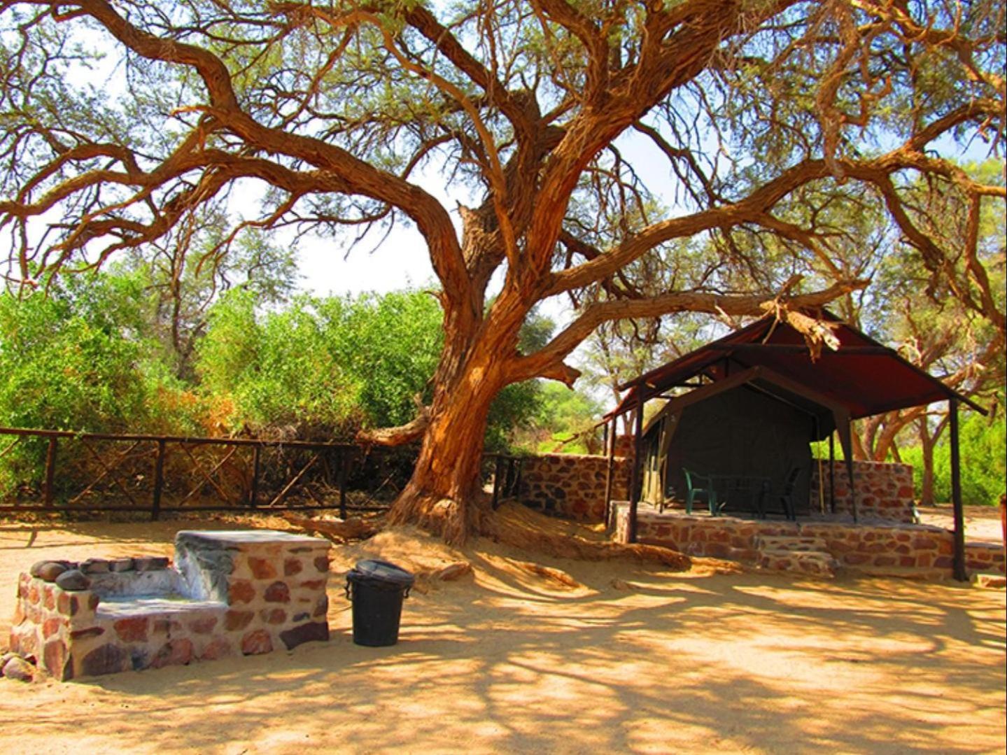 Brandberg White Lady Lodge Uis Экстерьер фото